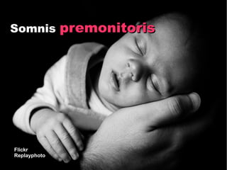 Somnis premonitoris




Flickr
Replayphoto
 