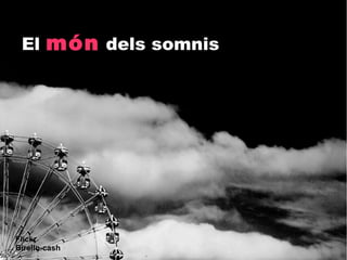 El món dels somnis




Flickr
Birello-cash
 