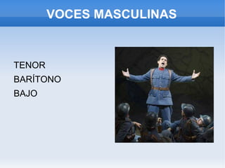 VOCES MASCULINAS ,[object Object]