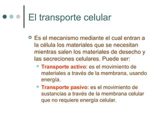 El transporte celular
 Es el mecanismo mediante el cual entran a
la célula los materiales que se necesitan
mientras salen los materiales de desecho y
las secreciones celulares. Puede ser:
 Transporte activo: es el movimiento de
materiales a través de la membrana, usando
energía.
 Transporte pasivo: es el movimiento de
sustancias a través de la membrana celular
que no requiere energía celular.
 