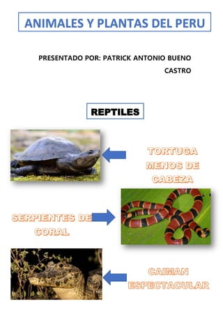 PRESENTADO POR: PATRICK ANTONIO BUENO
CASTRO
ANIMALES Y PLANTAS DEL PERU
REPTILES
 