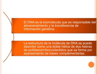 El DNA es la biomolecula que es responsable del 
almacenamiento y la transferencia de 
información genética. 
La estructura de la molécula de DNA se puede 
describir como una doble hélice de dos hebras 
de polidesoxirribonucleotidos que se forma por 
apareamiento de bases complementarias. 
 