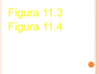 Figura 11.3 
Figura 11.4 
 