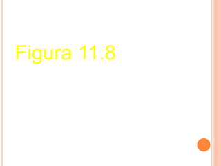 Figura 11.8 
 