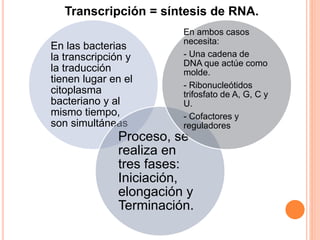 Transcripción = síntesis de RNA. 
En las bacterias 
la transcripción y 
la traducción 
tienen lugar en el 
citoplasma 
bacteriano y al 
mismo tiempo, 
son simultáneas 
En ambos casos 
necesita: 
- Una cadena de 
DNA que actúe como 
molde. 
- Ribonucleótidos 
trifosfato de A, G, C y 
U. 
- Cofactores y 
reguladores 
Proceso, se 
realiza en 
tres fases: 
Iniciación, 
elongación y 
Terminación. 
 