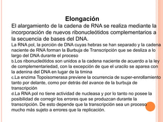 Elongación 
El alargamiento de la cadena de RNA se realiza mediante la 
incorporación de nuevos ribonucleótidos complementarios a 
la secuencia de bases del DNA. 
La RNA pol, la porción de DNA cuyas hebras se han separado y la cadena 
naciente de RNA forman la Burbuja de Transcripción que se desliza a lo 
largo del DNA durante el proceso 
b.Los ribonucleótidos son unidos a la cadena naciente de acuerdo a la ley 
de complementariedad, con la excepción de que el uracilo se aparea con 
la adenina del DNA en lugar de la timina 
c.La enzima Topoisomerasa previene la ocurrencia de super-enrollamiento 
tanto por delante, como por detrás del avance de la burbuja de 
transcripción 
d.La RNA pol no tiene actividad de nucleasa y por lo tanto no posee la 
posibilidad de corregir los errores que se produzcan durante la 
transcripción. De esto depende que la transcripción sea un proceso 
mucho más sujeto a errores que la replicación. 
 