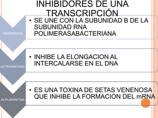RIFAMPICINA 
INHIBIDORES DE UNA 
TRANSCRIPCIÓN 
• SE UNE CON LA SUBUNIDAD B DE LA 
SUBUNIDAD RNA 
POLIMERASABACTERIANA 
ACTINOMICINAD 
• INHIBE LA ELONGACION AL 
INTERCALARSE EN EL DNA 
ALFA AMINITINA 
• ES UNA TOXINA DE SETAS VENENOSA 
QUE INHIBE LA FORMACION DEL mRNA 
