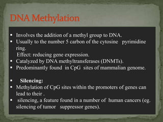  Involves the addition of a methyl group to DNA.
 Usually to the number 5 carbon of the cytosine pyrimidine
ring.
Effect: reducing gene expression.
 Catalyzed by DNA methyltransferases (DNMTs).
 Predominantly found in CpG sites of mammalian genome.
 Silencing:
 Methylation of CpG sites within the promoters of genes can
lead to their .
 silencing, a feature found in a number of human cancers (eg.
silencing of tumor suppressor genes).
 