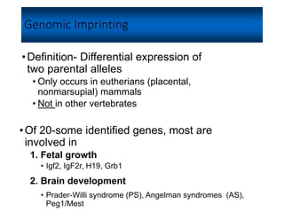 Genomic Imprinting
•Definition- Differential expression of
two parental alleles
• Only occurs in eutherians (placental,
nonmarsupial) mammals
• Not in other vertebrates
•Of 20-some identified genes, most are
involved in
1. Fetal growth
• Igf2, IgF2r, H19, Grb1
2. Brain development
• Prader-Willi syndrome (PS), Angelman syndromes (AS),
Peg1/Mest
 