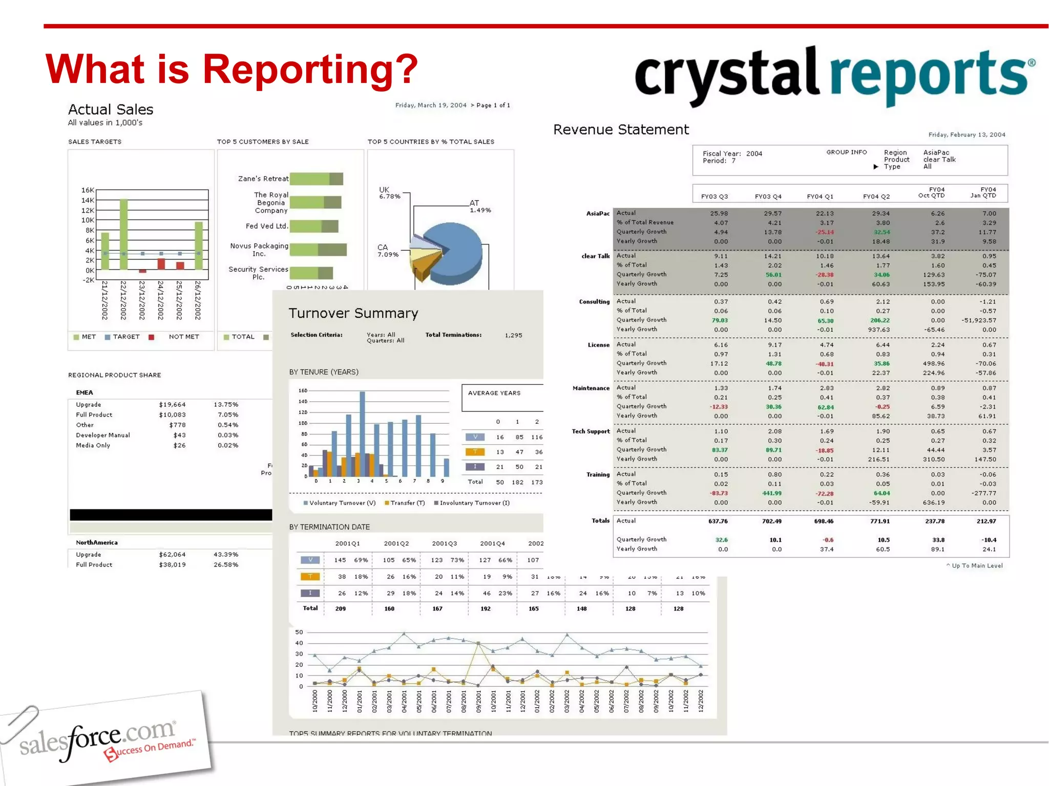What is Reporting? 