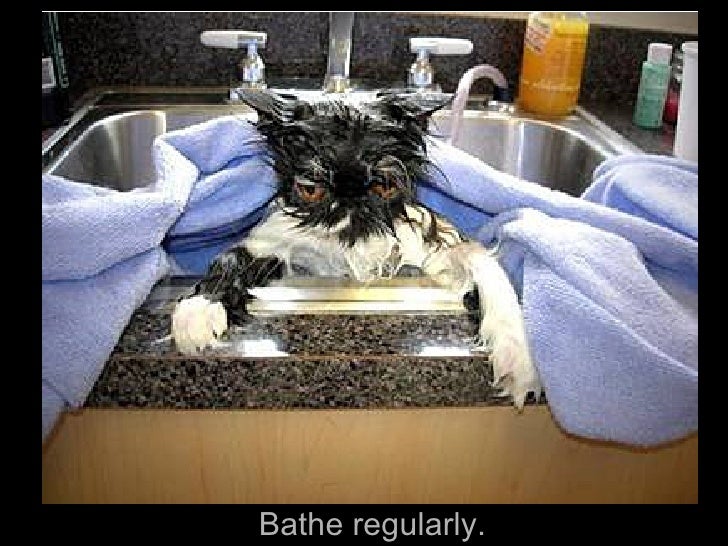 bathe-regularly