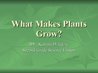 What Makes Plants Grow? BY:  Katrina Dziedzic Second Grade Science Lesson 
