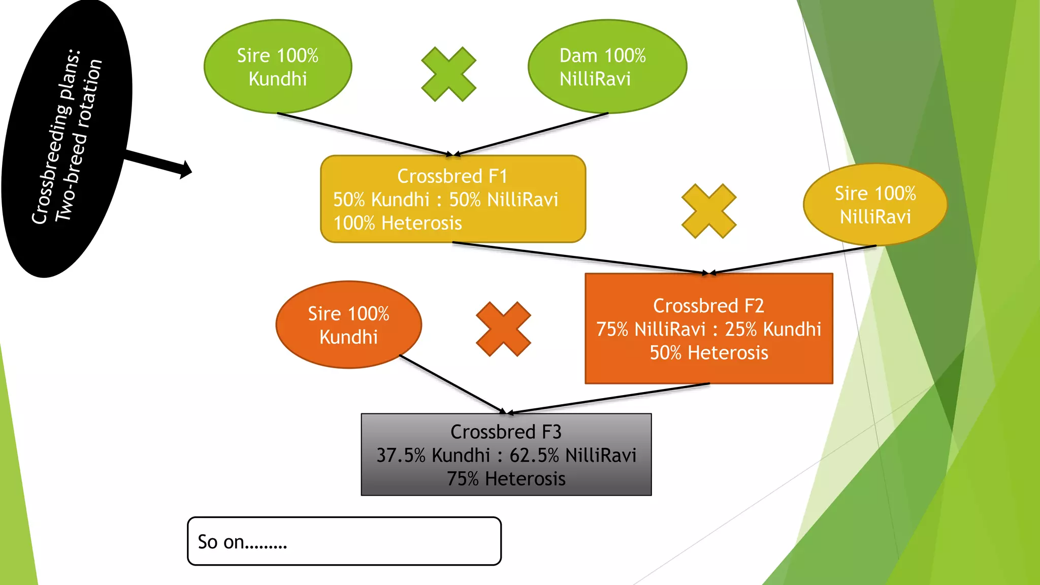 Sire 100%
Kundhi
Dam 100%
NilliRavi
Crossbred F1
50% Kundhi : 50% NilliRavi
100% Heterosis
Sire 100%
NilliRavi
Crossbred F2
75% NilliRavi : 25% Kundhi
50% Heterosis
Sire 100%
Kundhi
Crossbred F3
37.5% Kundhi : 62.5% NilliRavi
75% Heterosis
So on………
 