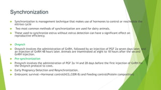 Synchronization Example In Animal Behavior Improving breeding&reproductive performance of dairy animals | PPTX