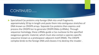 Crispr/Cas 9 | PPTX