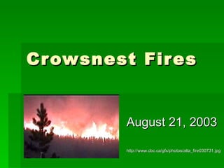 Crowsnest Fires August 21, 2003 http://www.cbc.ca/gfx/photos/alta_fire030731.jpg 