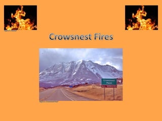 Crowsnest Fires Figure 1. Flames1 Figure 2. Crowsnest Pass2 