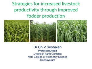 Strategies for increased livestock
productivity through improved
fodder production
Dr.Ch.V.Seshaiah
Professor&Head
Livestock Farm Complex
NTR College of Veterinary Science
Gannavaram
 