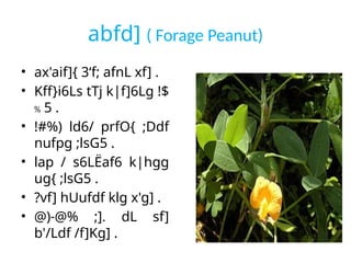 abfd] ( Forage Peanut)
• ax'aif]{ 3‘f; afnL xf] .
• Kff}i6Ls tTj k|f]6Lg !$
% 5 .
• !#%) ld6/ prfO{ ;Ddf
nufpg ;lsG5 .
• lap / s6LËaf6 k|hgg
ug{ ;lsG5 .
• ?vf] hUufdf klg x'g] .
• @)-@% ;]. dL sf]
b'/Ldf /f]Kg] .
 