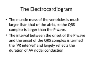 The Electrocardiogram
• The muscle mass of the ventricles is much
larger than that of the atria, so the QRS
complex is larger than the P wave.
• The interval between the onset of the P wave
and the onset of the QRS complex is termed
the ‘PR interval’ and largely reflects the
duration of AV nodal conduction
 