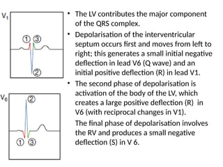 • The LV contributes the major component
of the QRS complex.
• Depolarisation of the interventricular
septum occurs first and moves from left to
right; this generates a small initial negative
deflection in lead V6 (Q wave) and an
initial positive deflection (R) in lead V1.
• The second phase of depolarisation is
activation of the body of the LV, which
creates a large positive deflection (R) in
V6 (with reciprocal changes in V1).
• The final phase of depolarisation involves
the RV and produces a small negative
deflection (S) in V 6.
 