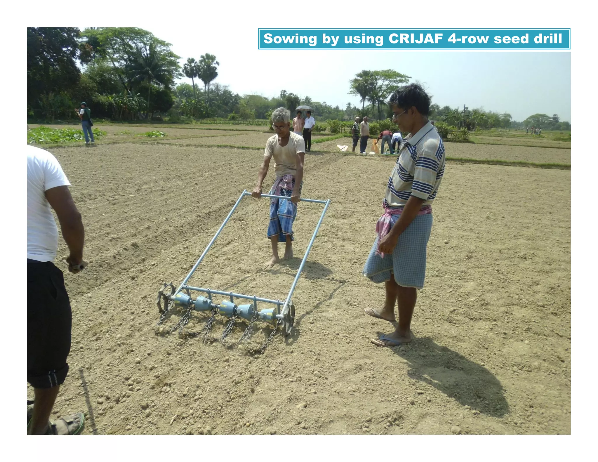 Improved technologies for jute cultivation in india | PDF