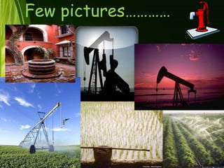 Few pictures…………
 