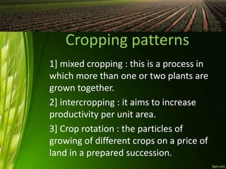 Cropping patterns
1] mixed cropping : this is a process in
which more than one or two plants are
grown together.
2] intercropping : it aims to increase
productivity per unit area.
3] Crop rotation : the particles of
growing of different crops on a price of
land in a prepared succession.
 