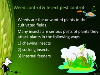 Weed control & Insect pest control
Weeds are the unwanted plants in the
cultivated fields.
Many insects are serious pests of plants they
attack plants in the following ways
1] chewing insects
2] sucking insects
3] internal feeders
 
