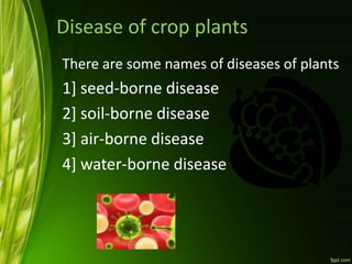 Disease of crop plants
There are some names of diseases of plants
1] seed-borne disease
2] soil-borne disease
3] air-borne disease
4] water-borne disease
 