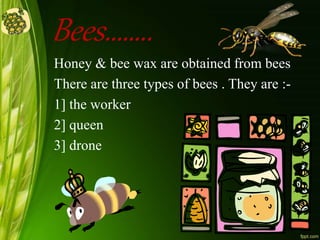Bees……..
Honey & bee wax are obtained from bees
There are three types of bees . They are :-
1] the worker
2] queen
3] drone
 