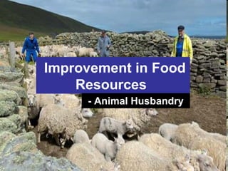 Improvement in Food
Resources
- Animal Husbandry
 