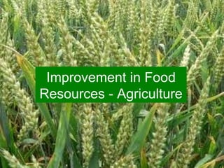 Improvement in Food
Resources - Agriculture
 