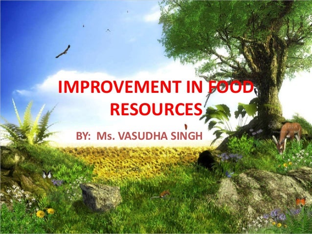 improvement in food resources presentation