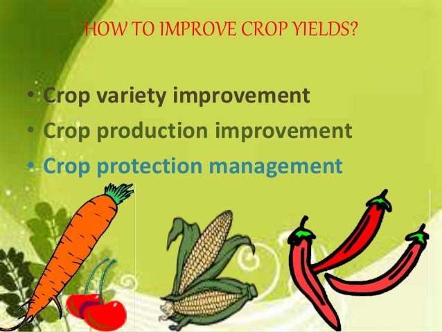 Improvement In Food Resources