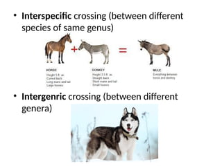 • Interspecific crossing (between different
species of same genus)
• Intergenric crossing (between different
genera)
 