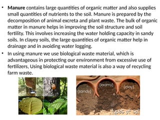 • Manure contains large quantities of organic matter and also supplies
small quantities of nutrients to the soil. Manure is prepared by the
decomposition of animal excreta and plant waste. The bulk of organic
matter in manure helps in improving the soil structure and soil
fertility. This involves increasing the water holding capacity in sandy
soils. In clayey soils, the large quantities of organic matter help in
drainage and in avoiding water logging.
• In using manure we use biological waste material, which is
advantageous in protecting our environment from excessive use of
fertilizers, Using biological waste material is also a way of recycling
farm waste.
 