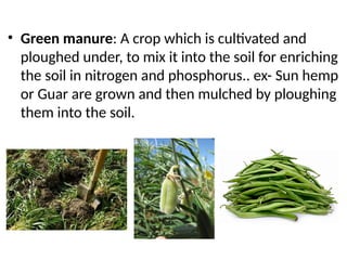 • Green manure: A crop which is cultivated and
ploughed under, to mix it into the soil for enriching
the soil in nitrogen and phosphorus.. ex- Sun hemp
or Guar are grown and then mulched by ploughing
them into the soil.
 