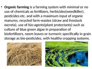 • Organic farming is a farming system with minimal or no
use of chemicals as fertilizers, herbicides(weedkiller),
pesticides etc. and with a maximum input of organic
manures, recycled farm-wastes (straw and livestock
excreta), use of bio-agents(plant protectants) such as
culture of blue green algae in preparation of
biofertilizers, neem leaves or turmeric specifically in grain
storage as bio-pesticides, with healthy cropping systems.
 