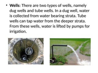• Wells: There are two types of wells, namely
dug wells and tube wells. In a dug well, water
is collected from water bearing strata. Tube
wells can tap water from the deeper strata.
From these wells, water is lifted by pumps for
irrigation.
 