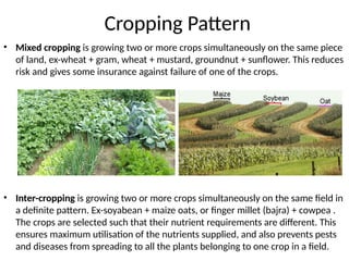 Cropping Pattern
• Mixed cropping is growing two or more crops simultaneously on the same piece
of land, ex-wheat + gram, wheat + mustard, groundnut + sunflower. This reduces
risk and gives some insurance against failure of one of the crops.
• Inter-cropping is growing two or more crops simultaneously on the same field in
a definite pattern. Ex-soyabean + maize oats, or finger millet (bajra) + cowpea .
The crops are selected such that their nutrient requirements are different. This
ensures maximum utilisation of the nutrients supplied, and also prevents pests
and diseases from spreading to all the plants belonging to one crop in a field.
 