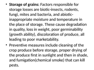• Storage of grains: Factors responsible for
storage losses are biotic-insects, rodents,
fungi, mites and bacteria, and abiotic-
inappropriate moisture and temperature in
the place of storage. These cause degradation
in quality, loss in weight, poor germinability
(growth ability), discoloration of produce, all
leading to poor marketability.
• Preventive measures include cleaning of the
crop produce before storage, proper drying of
the produce first in sunlight and then in shade,
and fumigation(chemical smoke) that can kill
pests.
 