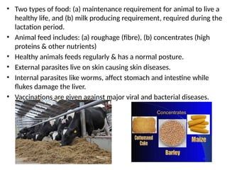 • Two types of food: (a) maintenance requirement for animal to live a
healthy life, and (b) milk producing requirement, required during the
lactation period.
• Animal feed includes: (a) roughage (fibre), (b) concentrates (high
proteins & other nutrients)
• Healthy animals feeds regularly & has a normal posture.
• External parasites live on skin causing skin diseases.
• Internal parasites like worms, affect stomach and intestine while
flukes damage the liver.
• Vaccinations are given against major viral and bacterial diseases.
 