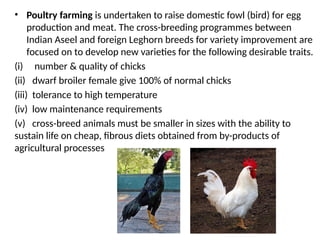 • Poultry farming is undertaken to raise domestic fowl (bird) for egg
production and meat. The cross-breeding programmes between
Indian Aseel and foreign Leghorn breeds for variety improvement are
focused on to develop new varieties for the following desirable traits.
(i) number & quality of chicks
(ii) dwarf broiler female give 100% of normal chicks
(iii) tolerance to high temperature
(iv) low maintenance requirements
(v) cross-breed animals must be smaller in sizes with the ability to
sustain life on cheap, fibrous diets obtained from by-products of
agricultural processes
 