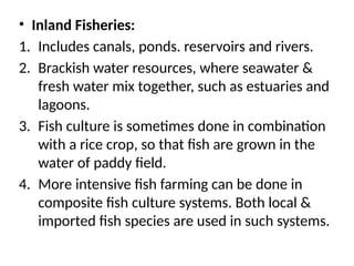 • Inland Fisheries:
1. Includes canals, ponds. reservoirs and rivers.
2. Brackish water resources, where seawater &
fresh water mix together, such as estuaries and
lagoons.
3. Fish culture is sometimes done in combination
with a rice crop, so that fish are grown in the
water of paddy field.
4. More intensive fish farming can be done in
composite fish culture systems. Both local &
imported fish species are used in such systems.
 