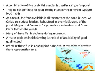 • A combination of five or six fish species is used in a single fishpond.
• They do not compete for food among them having different types of
food habits.
• As a result, the food available in all the parts of the pond is used. As
Catlas are surface feeders, Rohus feed in the middle-zone of the
pond, Mrigals and Common Carps are bottom feeders, and Grass
Carps feed on the weeds.
• Many of these fish breed only during monsoon.
• A major problem in fish farming is the lack of availability of good
quality seed.
• Breeding these fish in ponds using hormonal stimulation to activate
there reproduction cells.
 