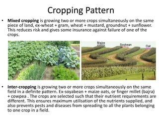 Improvement in Food Resources | PPTX