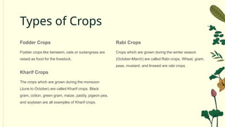 Improvement in food resources class 9.pptx