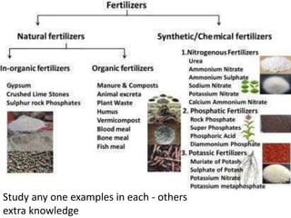 Study any one examples in each - others
extra knowledge
 
