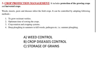 A) WEED CONTROL
B) CROP DISEASES CONTROL
C) STORAGE OF GRAINS
 